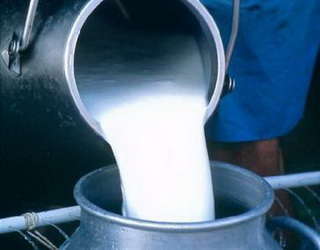 Частка молока екстра ґатунку на переробних підприємствах зросла до 21%